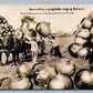 EXAGGERATED ONIONS HARVEST ANTIQUE REAL PHOTO POSTCARD RPPC collage MONTAGE