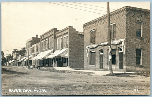 BURR OAK MI PARK HOTEL ANTIQUE REAL PHOTO POSTCARD RPPC