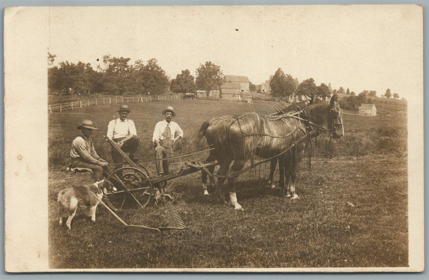 AGRICULTURE SCENE w/ DOG & HORSES ANTIQUE REAL PHOTO POSTCARD RPPC