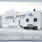 WINDOM MN CALDWELL WHOLESALE MEATS PACKING CO VINTAGE REAL PHOTO POSTCARD RPPC