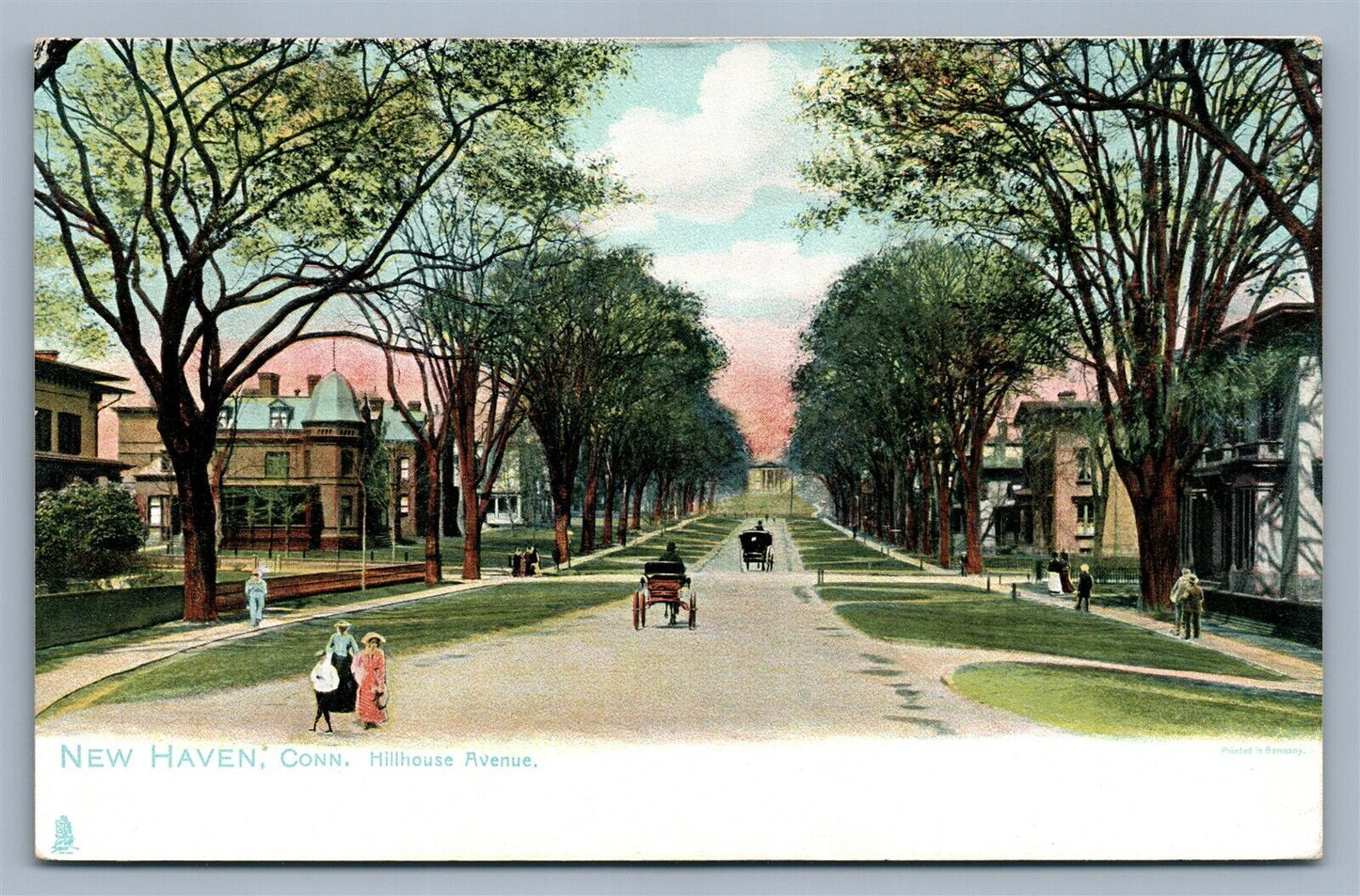 NEW HAVEN CT HILLHOUSE AVENUE 1906 ANTIQUE POSTCARD