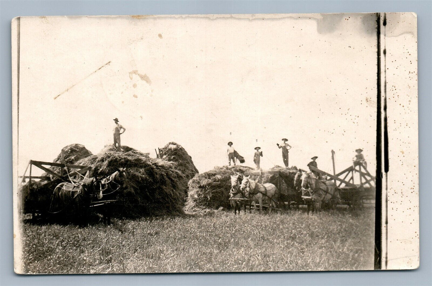 FARM SCENE HARVESTING HORSE CARTS 1915 ANTIQUE REAL PHOTO POSTCARD RPPC