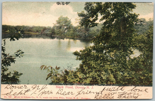 DOVER NJ BLACK POND 1906 UNDIVIDED ANTIQUE POSTCARD