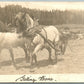 HORSES w/ MAN NO CARRIAGE 1914 ANTIQUE RPPC REAL PHOTO POSTCARD CORK CANCEL