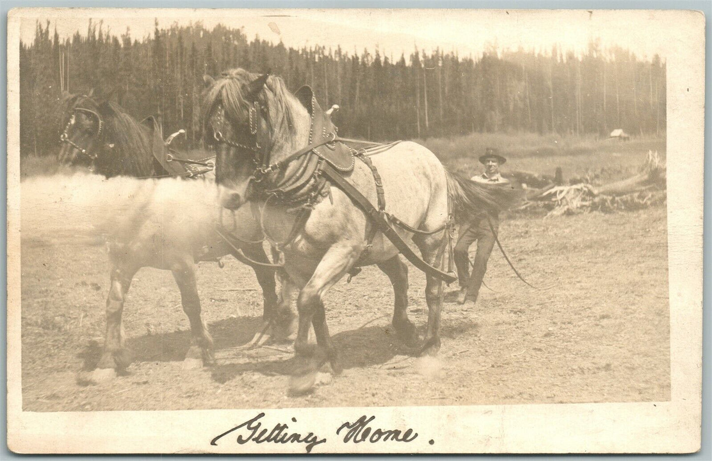 HORSES w/ MAN NO CARRIAGE 1914 ANTIQUE RPPC REAL PHOTO POSTCARD CORK CANCEL