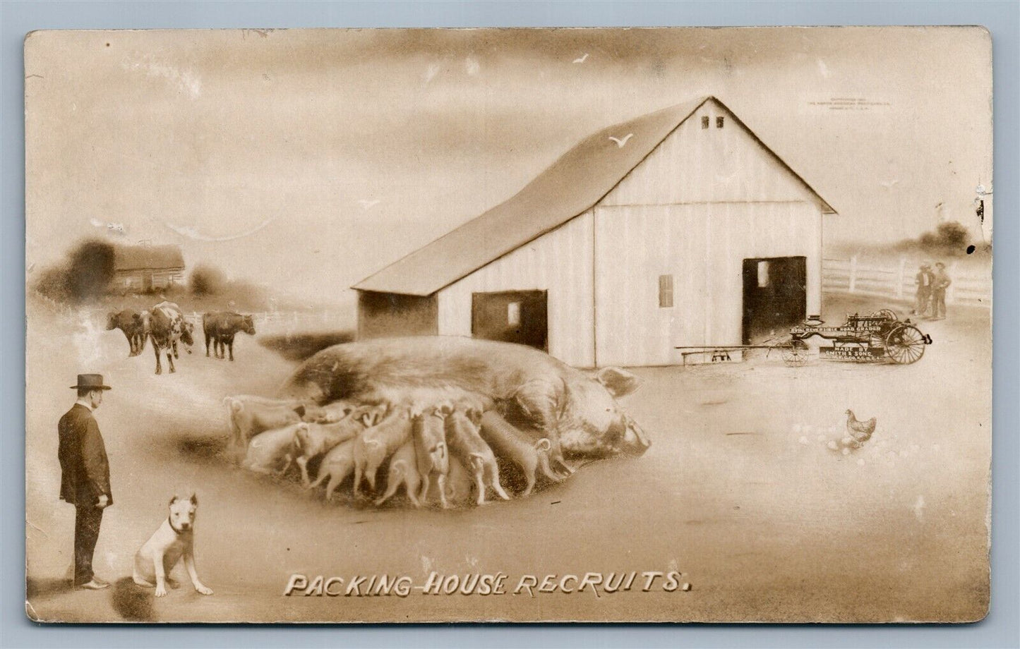 EXAGGERATED PIGS FARM TRACTOR ANTIQUE REAL PHOTO POSTCARD RPPC montage collage