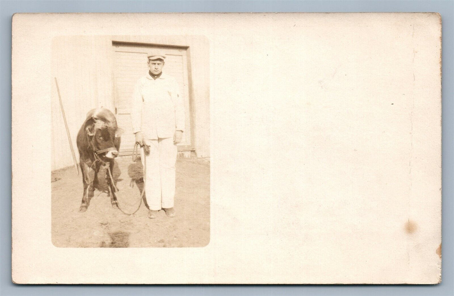 MAN w/ CALF VINTAGE REAL PHOTO POSTCARD RPPC