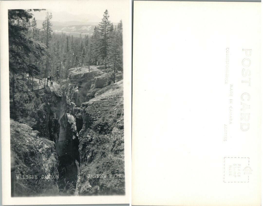 MALIGNE CANYON JASPER PARK ALBERTA CANADA VINTAGE RPPC REAL PHOTO POSTCARD