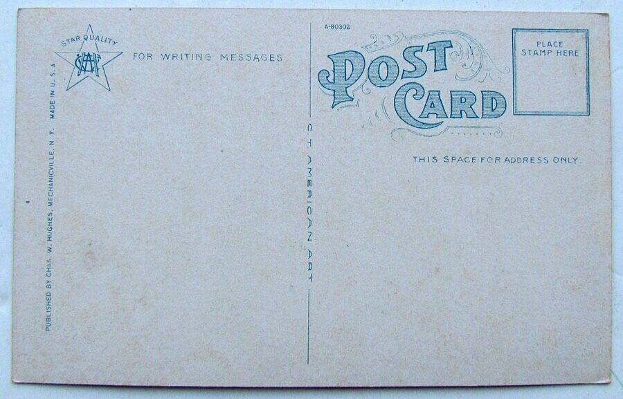 ANTIQUE POSTCARD MAIN STREET AMSTERDAM NEW YORK