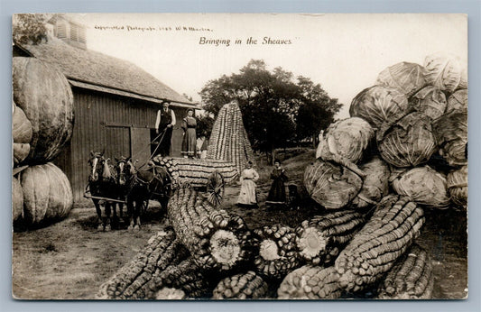 EXAGGERATED CORN CABBAGE FARM SCENE ANTIQUE REAL PHOTO POSTCARD RPPC montage