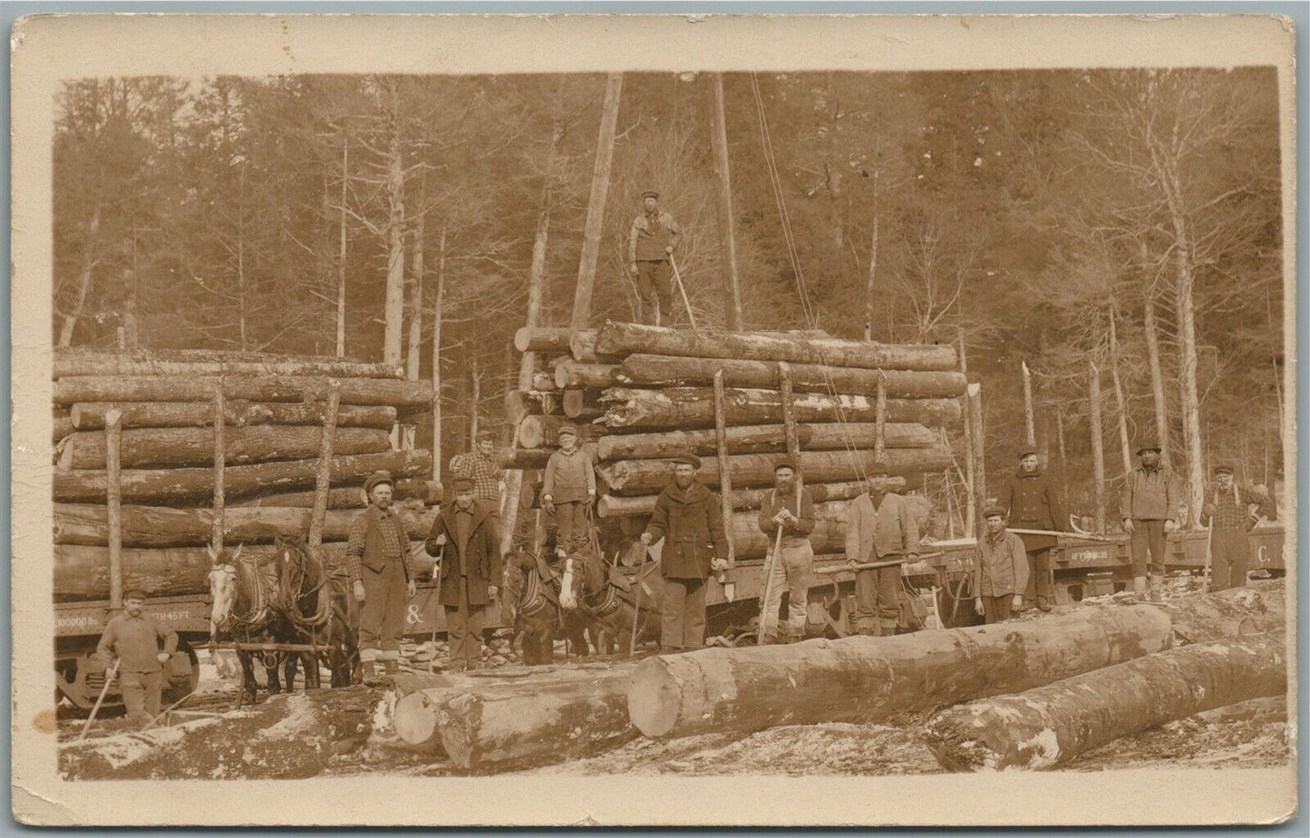 WOOD LOGS on RAILROAD CARS lumberjacks ANTIQUE REAL PHOTO POSTCARD RPPC