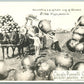 VAN BUREN AR ONIONS EXAGGERATED VINTAGE REAL PHOTO POSTCARD RPPC  farming