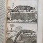 1774 NATURAL HISTORY by BUFFON 21 volumes antique ILLUSTRATED w/ 284 PLATES