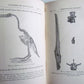 1877 AMERICAN ADDRESSES w LECTURE on STUDY of BIOLOGY HUXLEY antique ILLUSTRATED