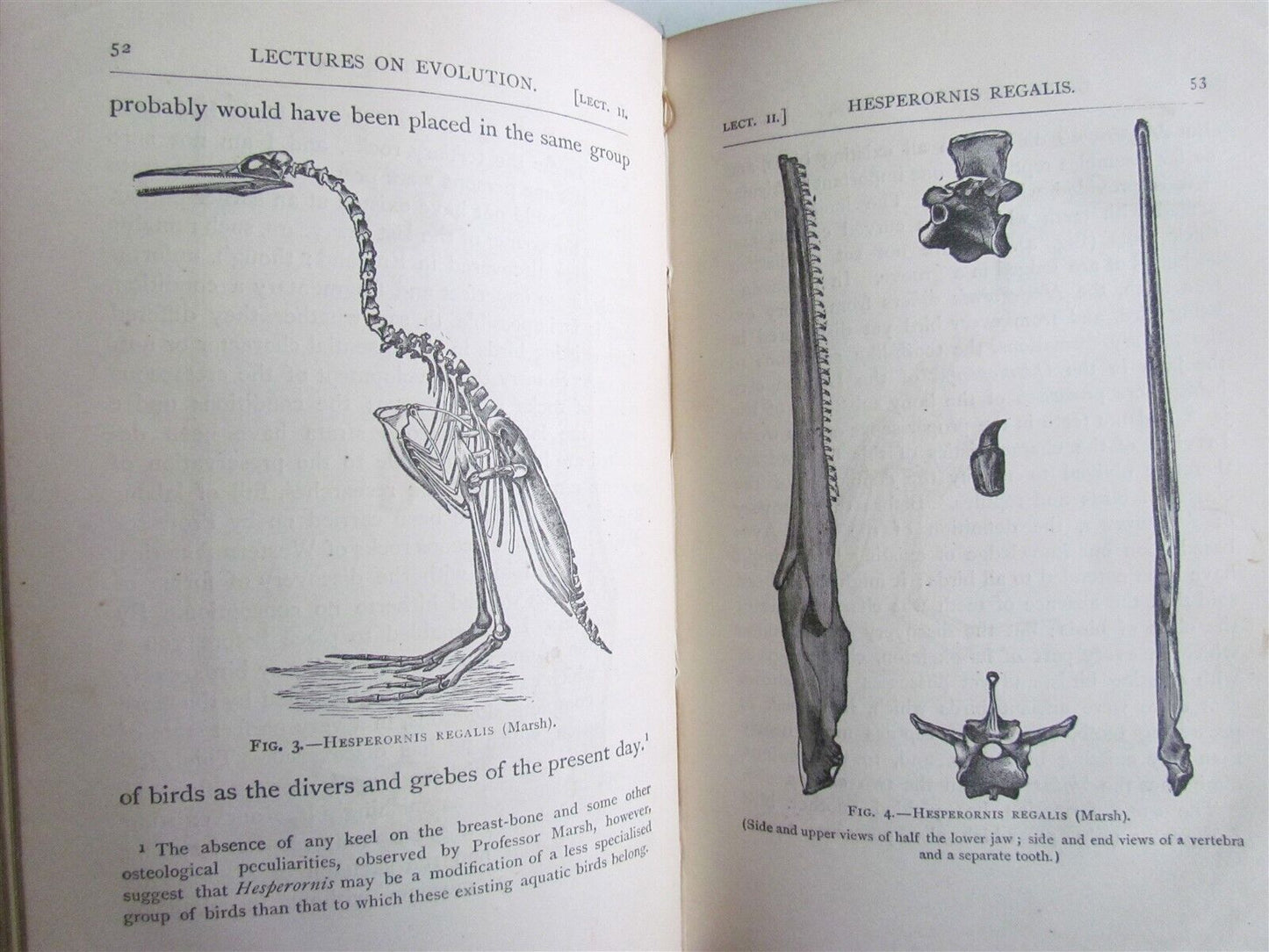 1877 AMERICAN ADDRESSES w LECTURE on STUDY of BIOLOGY HUXLEY antique ILLUSTRATED