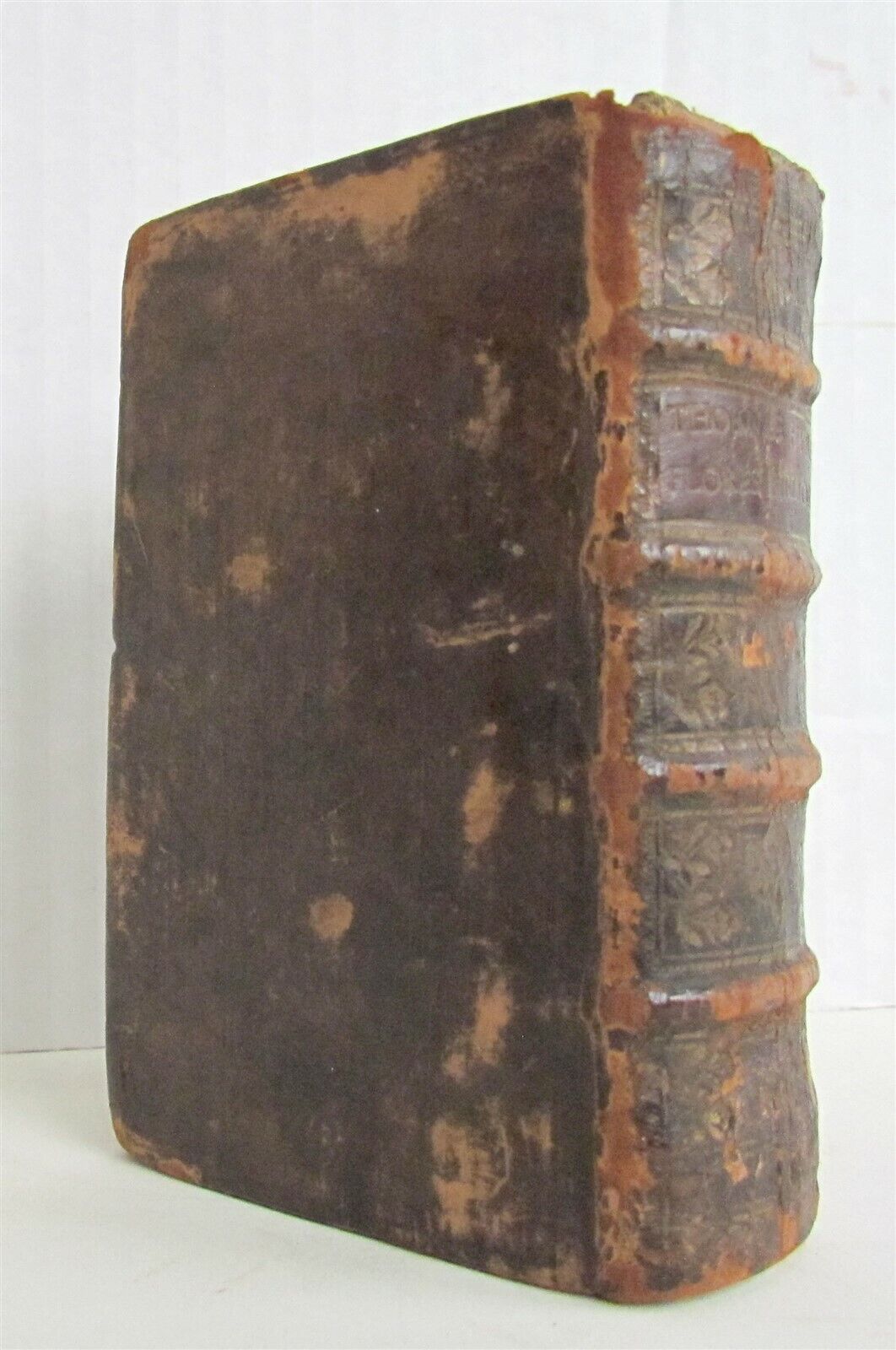 1565 BIBLE FLORES BIBLIA by PLANTIN antique 16th CENTURY