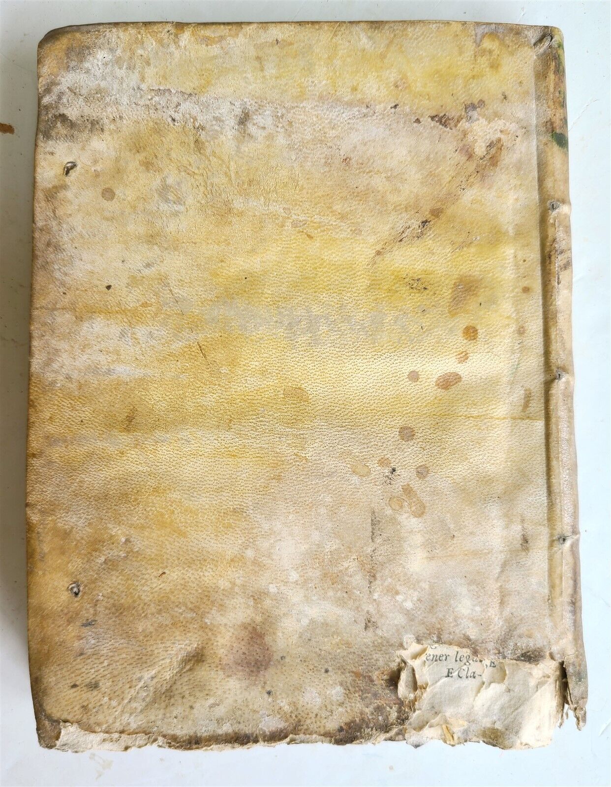 1592 I TRATTENIMENTI DI SCIPION BARGAGLI antique VELLUM BINDING