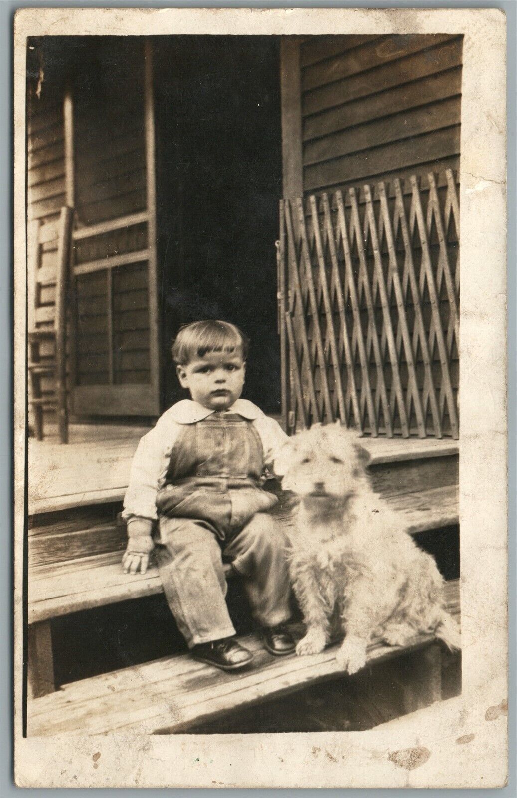 LITTLE BOY w/ DOG ANTIQUE REAL PHOTO POSTCARD RPPC