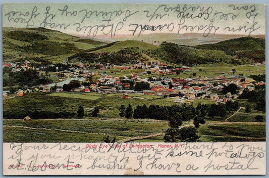 MANOR NY LIVINGSTON BIRDS EYE VIEW 1906 UNDIVIDED ANTIQUE POSTCARD