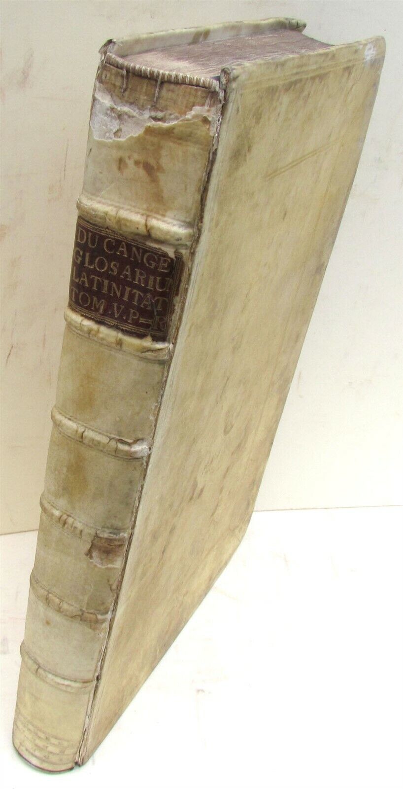 1734 BLIND STAMPED VELLUM BINDING MASSIVE FOLIO Glossarium ad Scriptores ANTIQUE