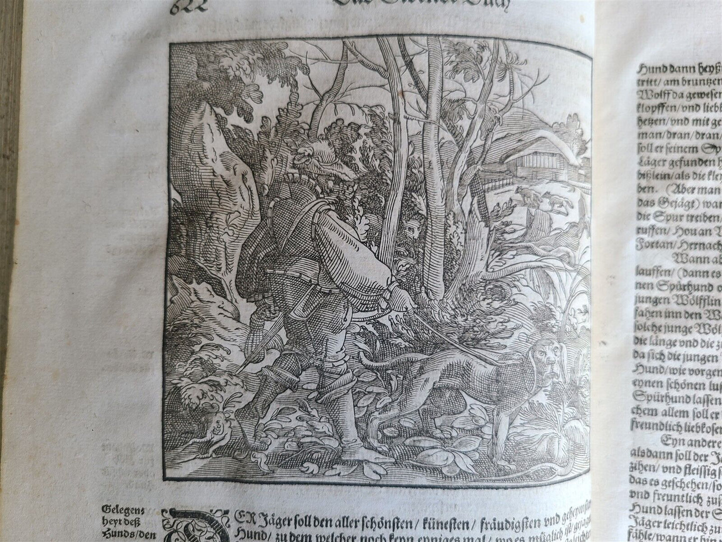 1580 ILLUSTRATED by Tobias Stimmer & J. Amman FOLIO antique HUNTING FALCONRY