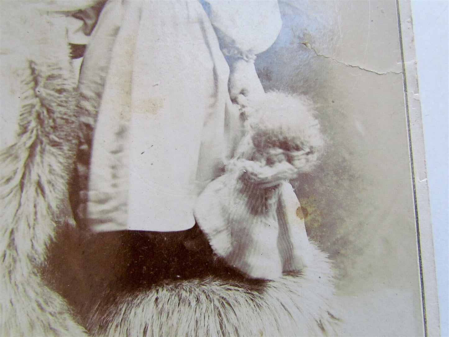 BABY GIRL w/ LARGE DOLL ANTIQUE CABINET PHOTO Brooklyn NY