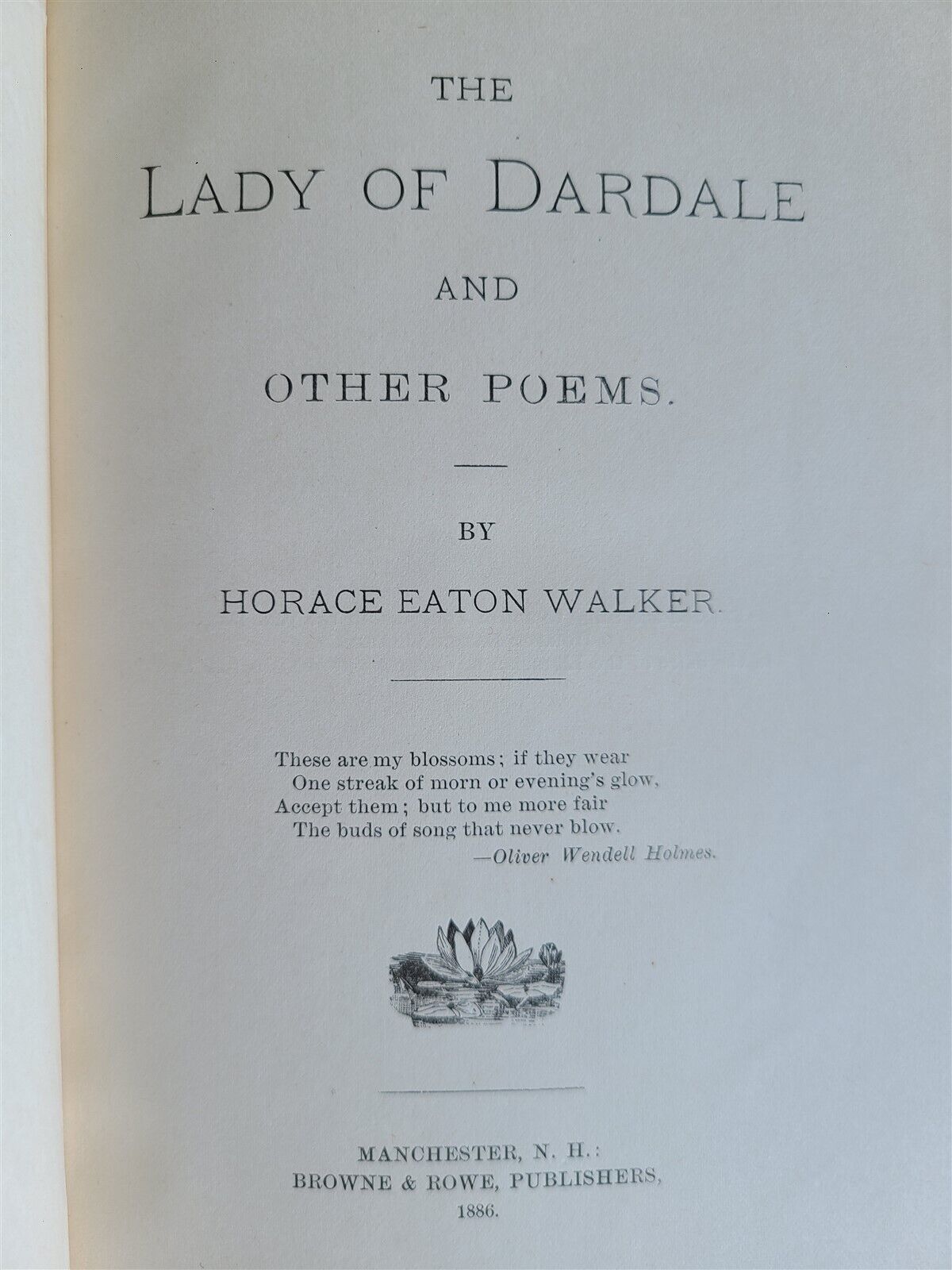 1886 THE LADY of DARDALE & OTHER POEMS HORACE EATON WALKER antique ILLUSTRATED