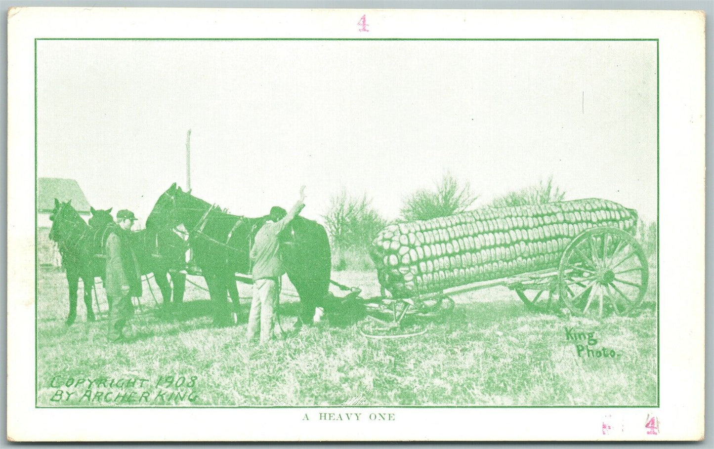 EXAGGERATED ANTIQUE POSTCARD HEAVY CORN farming