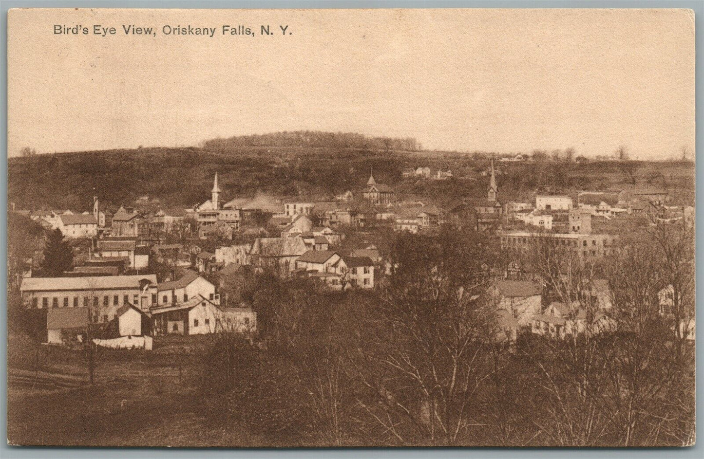 ORISKANY FALLS NY BIRDS EYE VIEW ANTIQUE POSTCARD