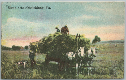SHICKSHINNY PA FARM SCENE 1916 ANTIQUE POSTCARD w/ CORK CANCEL