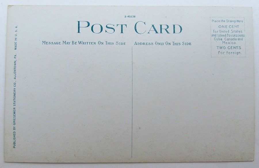 VINTAGE POSTCARD THE EIGHTH STREET BRIDGE ALLENTOWN PA train railroad railway