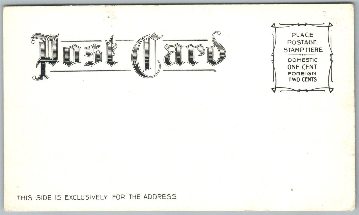 BEACH LAKE WAYNE CO. PA WALHALLA HOUSE ANTIQUE POSTCARD