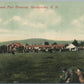 SANBORNTON NH TOWN PAIR GROUNDS ANTIQUE POSTCARD