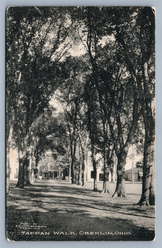 OBERLIN OH TAPPAN WALK 1910 ANTIQUE POSTCARD