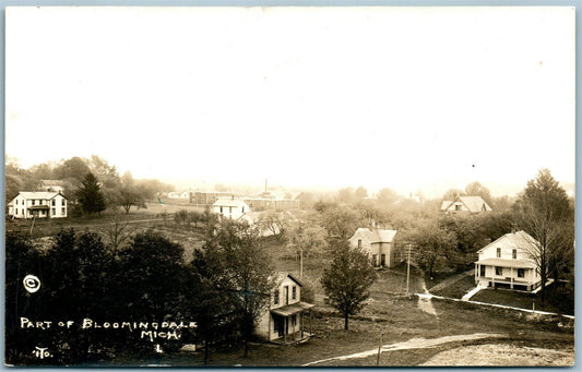 BLOOMINGDALE MI ANTIQUE REAL PHOTO POSTCARD RPPC