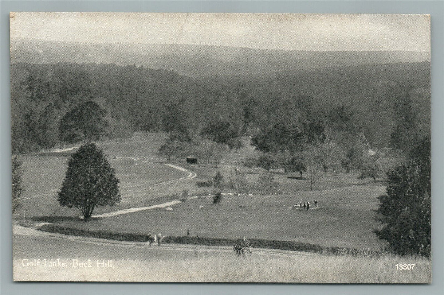 BUCK HILL PA GOLF LINKS ANTIQUE POSTCARD