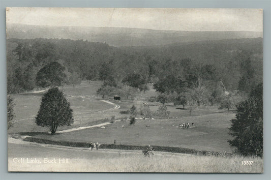 BUCK HILL PA GOLF LINKS ANTIQUE POSTCARD