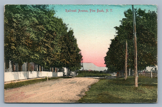PINE BUSH NY RAILROAD AVENUE ANTIQUE POSTCARD