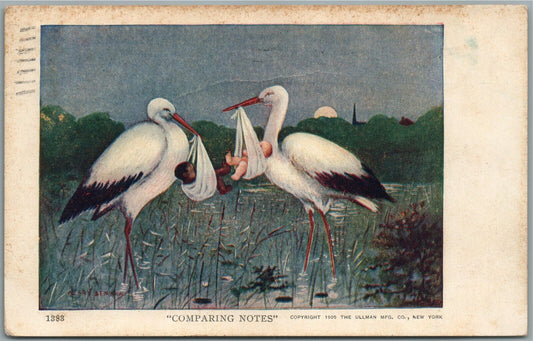 COMPARING NOTES STORKS w/ BABIES ANTIQUE POSTCARD