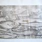 1610 PISCIUM VIVAE ICONES antique 20 ENGRAVINGS by ADRIAEN COLLAERT scarce