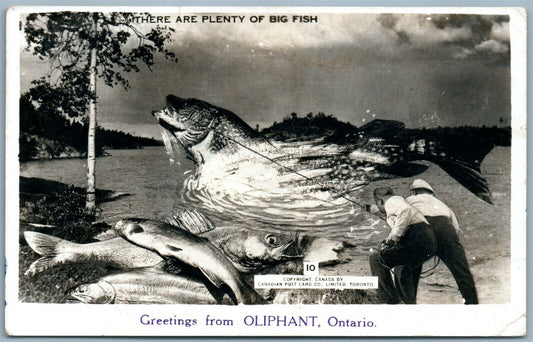 FISHING 1949 OLYPHANT ONT CANADA VINTAGE EXAGGERATED REAL PHOTO POSTCARD RPPC