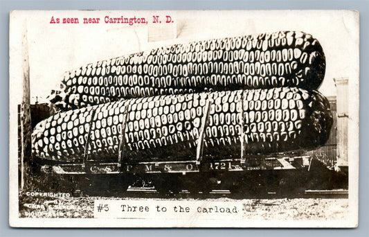 EXAGGERATED CORN CARRINGTON ND ANTIQUE REAL PHOTO POSTCARD RPPC