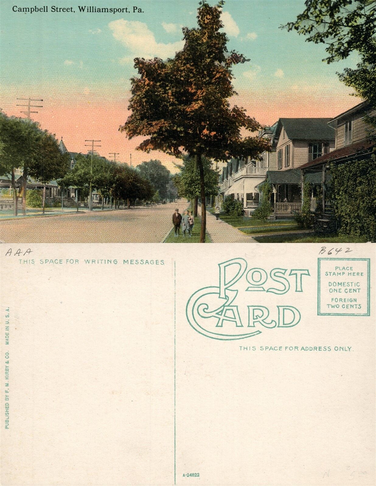 WILLIAMSPORT PA CAMPBELL STREET ANTIQUE POSTCARD