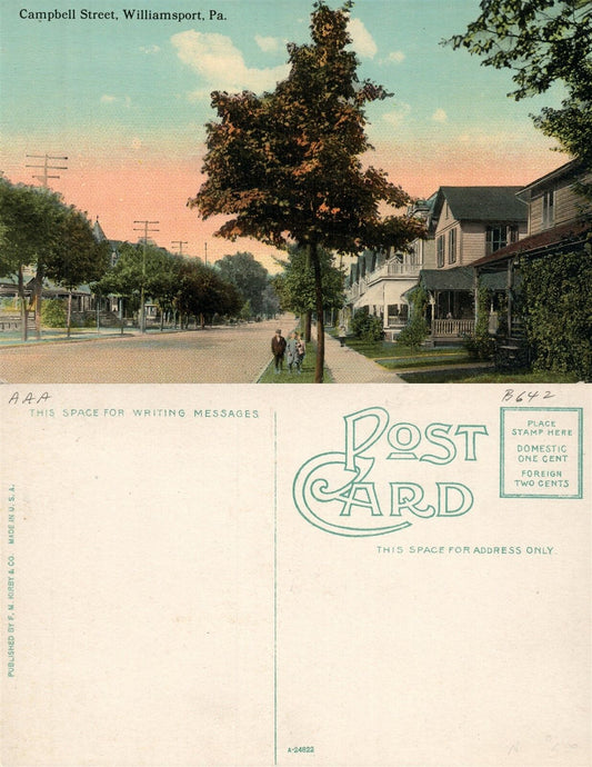WILLIAMSPORT PA CAMPBELL STREET ANTIQUE POSTCARD