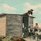 FUN ON THE CLAIM 1911 ANTIQUE POSTCARD