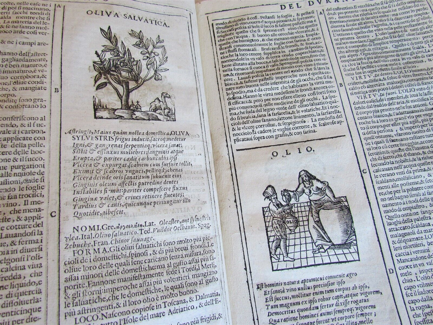 1667 HERBARIO NOVO by Castore DURANTE antique PLANTS BOTANY FULLY ILLUSTRATED