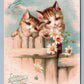 SOMERVILLE NJ CUTE KITTENS VICTORIAN TRADE CARD COSMO BUTTERMILK TOILET SOAP