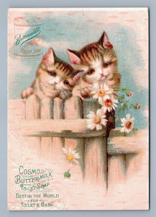 SOMERVILLE NJ CUTE KITTENS VICTORIAN TRADE CARD COSMO BUTTERMILK TOILET SOAP