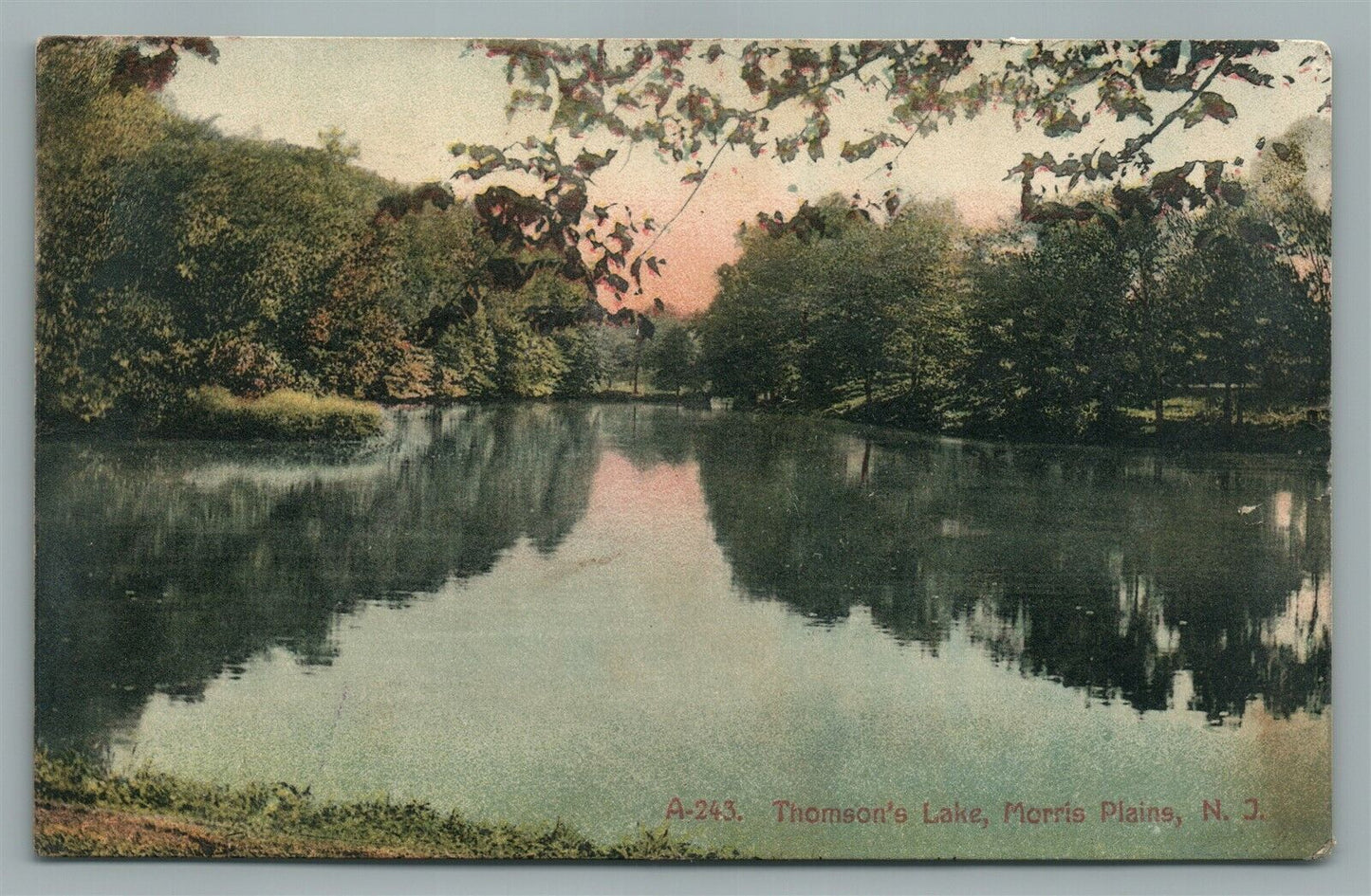 MORRIS PLAINS NJ THOMSON'S LAKE ANTIQUE POSTCARD