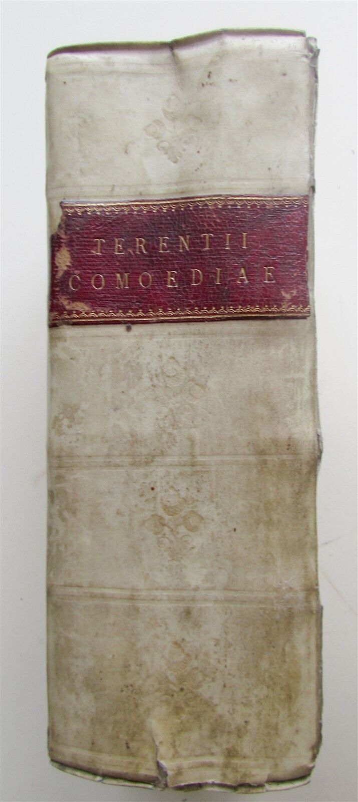 1732 AFRI COMOEDIAE SEX by TERENCE PRIZED VELLUM BINDING ANTIQUE